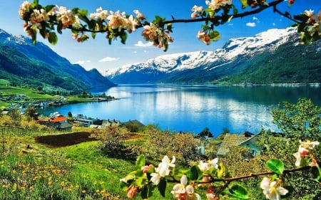 Mountain Lake On Spring - lake, mountain, trees, snowy peaks, spring, forest, beautiful, blossom, city, grass, wildflowers