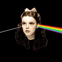 Dark Side of The Rainbow