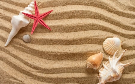 Happy Summer! - starfish, red, summer, shell, sand