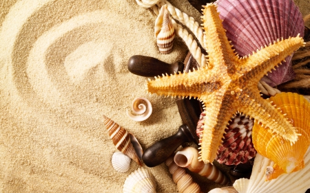 Happy Summer! - shell, starfish, summer, sand, pink