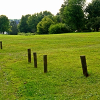 Summer Green Field