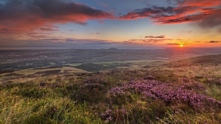 sunrise on a panoramic nature landscape - hill, flowers, clouds, plain, panorama, sea, sunrise