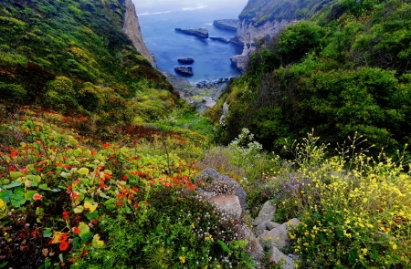 Coastal bluff - bluff, coast, beautiful, sea, valley, mountain, stones, wildflowers, shore, view, lvoely, rocks, bay