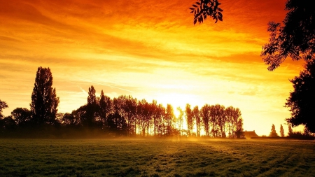 fabulous sunrise - field, hill, trees, sunrise