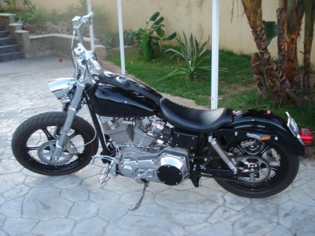 Harley Davidson - bike, motorcycle, chopper, harley