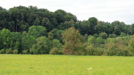 beautiful field - sky, landscape, beautiful, greeny, green, good