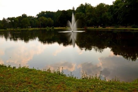 Summer Stream - summer park, summer pond, scenic pond, Summer Stream, park