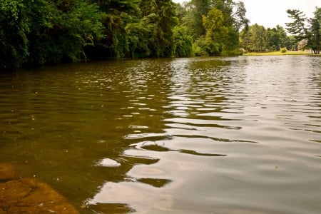 Down By The Lake - down by the lake, scenic lake, tranquil lake, lakeside, peaceful lake