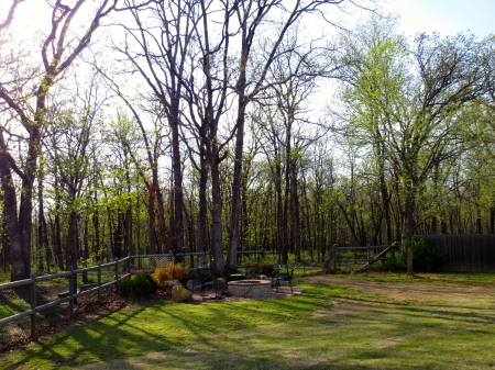 Nature - Trees, Grass, Nature, Beautiful, Scenery, Green