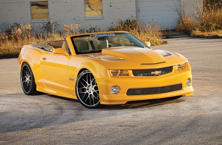 2013-Chevrolet-Camaro-Convertible - bowtie, yellow, 2013, 5thgen