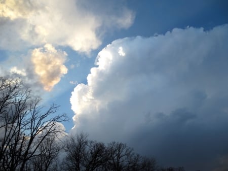 Clouds Above - clouds, orange, yellow, trees, blue