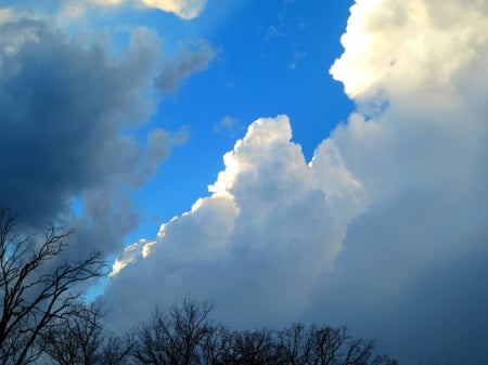 Blue Sky - sky, clear, clouds, trees, blue