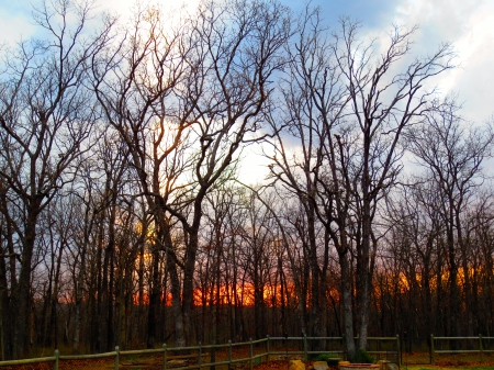 Forest Beauty - sky, forest, woods, clouds, orange, sunset