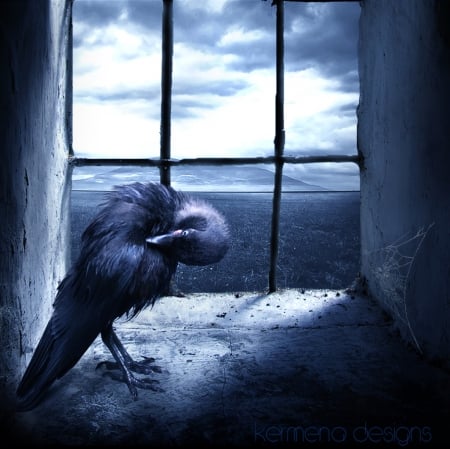 Alone - crow, fantasy, night, abstract