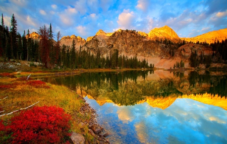 Lake Alice Sunrise - autumn, lake, forest, reflection, beautiful, mountains, grass, sunrise