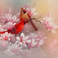 Painted cardinals