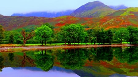 reflections on a still river - reflections, still, river, trees, mist, mountains