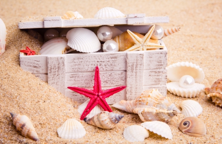 â™¥Seashellsâ™¥ - starfish, marine, box, shells, sand