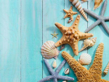 â™¥Seashellsâ™¥ - starfish, seashells, marine, wood