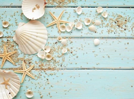 â™¥Seashellsâ™¥ - sand, starfish, wood, seashells, marine