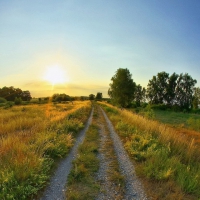 summer sunrise on a countryside road