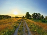 summer sunrise on a countryside road