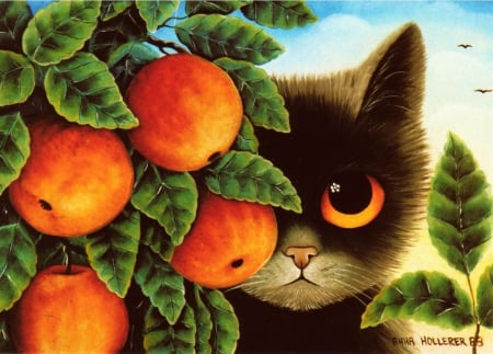 Looking Sad - apples, cat, fruits, leaves, artwork