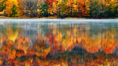 Amazing Colors - autumn, amazing, trees, river