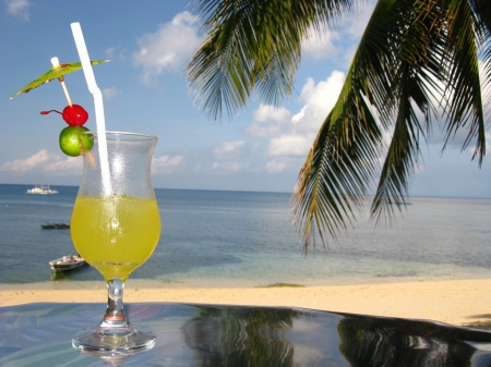 Reflections - reflections, beach, drinks, palm tree