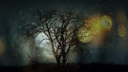 rain dance - tree, abstract, dance, rain