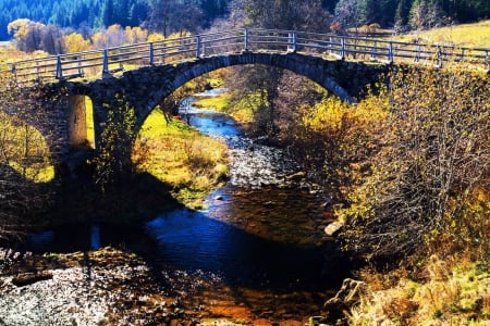 Old Bridge - nature, cobblestone, trees, river