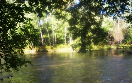 Peaceful paradise - Serene, river, Greenery, Peaceful