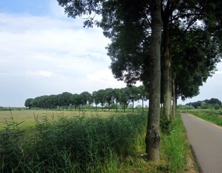 Countryside - clouds, trees, summer, blue, fields, photography, grass, tree, path, nature, field, sky