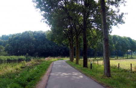 Countryside - trees, summer, pond, fields, photography, sunshine, grass, tree, path, countryside, nature, green, field, sun, sky