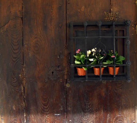 Welcome - entrance, wood, abstract, door, photography, flowers, house, flower