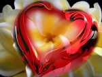 Plumeria Heart