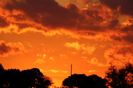 Dusk - sky, dusk, trees, clouds