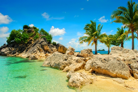 Paradise Corner - palm trees, ocean, beach, paradise, summer, tropical, rocks, beautiful, island, sand