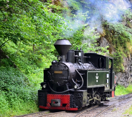 Locomotiva Elvetia de pe Valea Vaserului - tehnica, vara, transport, locomotiva