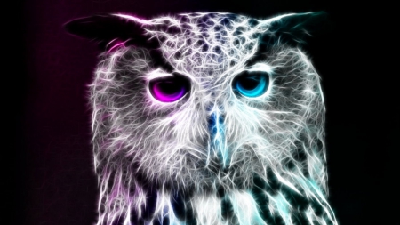 On A Night Like This Wallpaper Version.jpg - owls, fantasy, animals, fractal