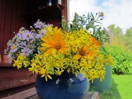 yellow flowers - green, summer, garden, blue