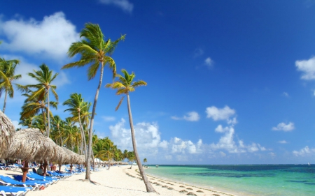 Day at the beach - beach, sands, trees, nature