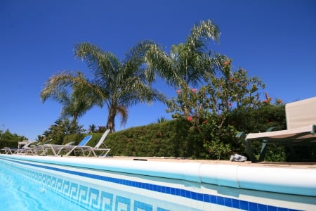 Paradise In A Pool. - vacation, heat, trees, holiday, palm, pool