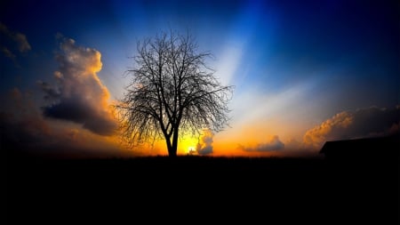 the next morning - morning, farm, clouds, tree, sunrise