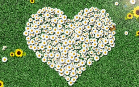 Heart flowers - flowers, petals, grass, heart