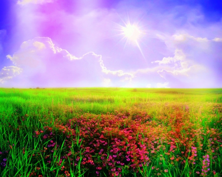 Beautiful scenery - nature, sky, field, clouds