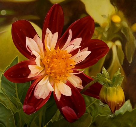 Flower - white, red, orange, flower