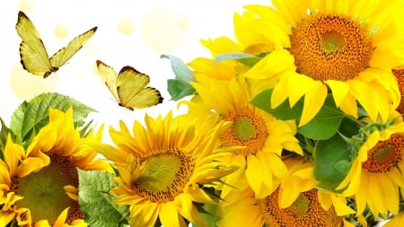 Autumn Golden Glories - sunflowers, yellow, summer, butterflies, harvest, sunshine, gold, flowers, fall, bright