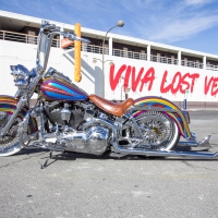 1995-Harley-Davidson-Heritage-Softtail