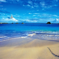 Love Letter in the Sand